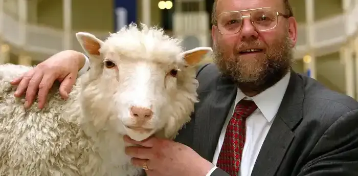 HERO Dolly the Sheep